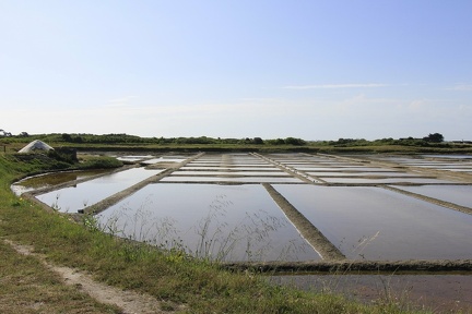 -Appareil photo numérique-Modèle- - 0055