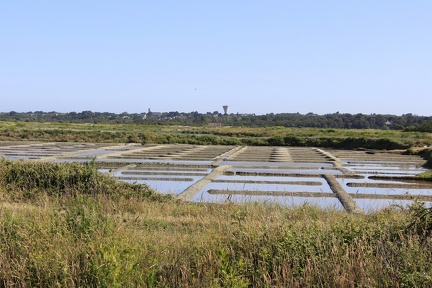 -Appareil photo numérique-Modèle- - 0056