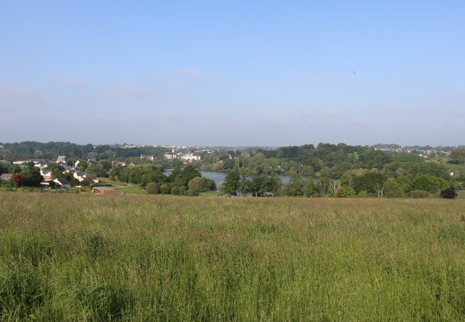 IMG 7977