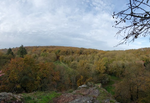 IMG-20231112-WA0006