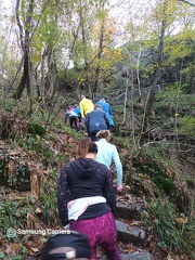 IMG-20231112-WA0008