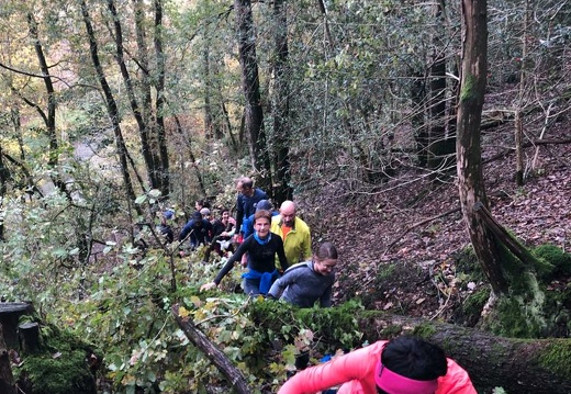 IMG-20231112-WA0021