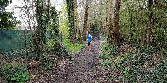 IMG 20240324 104806