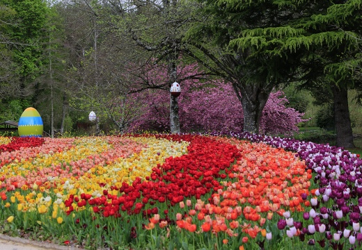 -Appareil photo numérique-Modèle- - 0123